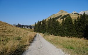 Preview wallpaper path, trees, hills, houses, nature