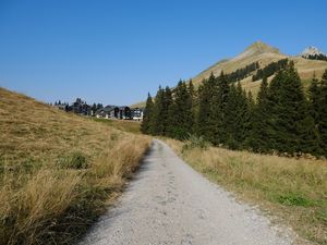 Preview wallpaper path, trees, hills, houses, nature