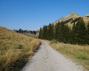 Preview wallpaper path, trees, hills, houses, nature