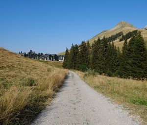 Preview wallpaper path, trees, hills, houses, nature