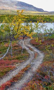 Preview wallpaper path, trees, lake, mountain, landscape