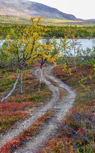 Preview wallpaper path, trees, lake, mountain, landscape