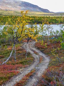 Preview wallpaper path, trees, lake, mountain, landscape