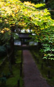 Preview wallpaper path, trees, leaves, pagoda, garden, asia