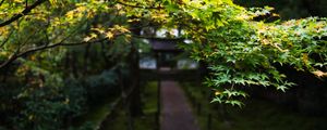 Preview wallpaper path, trees, leaves, pagoda, garden, asia