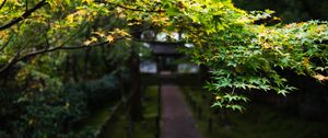 Preview wallpaper path, trees, leaves, pagoda, garden, asia