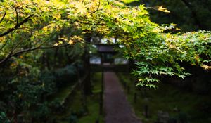 Preview wallpaper path, trees, leaves, pagoda, garden, asia