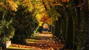 Preview wallpaper path, trees, leaves, autumn, sunlight
