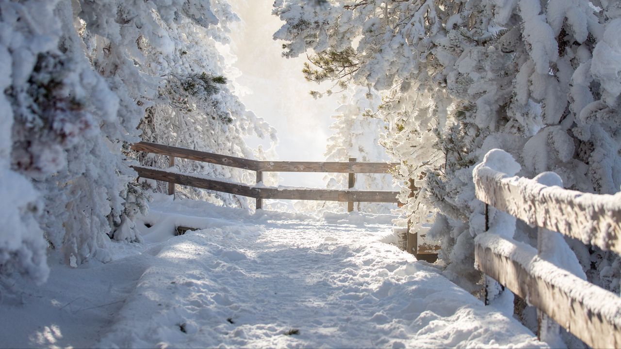 Wallpaper path, trees, snow, winter, white, nature