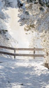 Preview wallpaper path, trees, snow, winter, white, nature