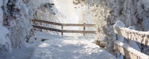 Preview wallpaper path, trees, snow, winter, white, nature