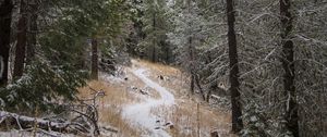 Preview wallpaper path, trees, snow, winter, nature