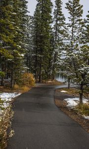 Preview wallpaper path, trees, spruce, snow, snowy