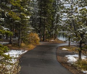 Preview wallpaper path, trees, spruce, snow, snowy