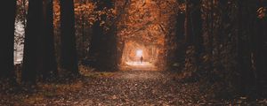 Preview wallpaper path, trees, tunnel, autumn, nature