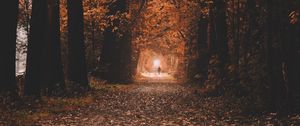 Preview wallpaper path, trees, tunnel, autumn, nature