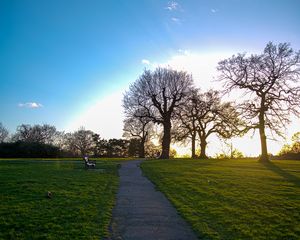 Preview wallpaper path, trees, walk, bench, silence