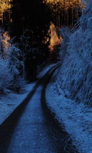 Preview wallpaper path, turn, winter, forest, trees