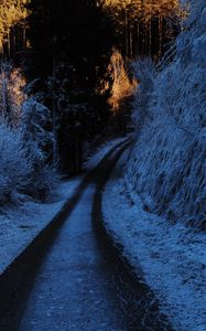 Preview wallpaper path, turn, winter, forest, trees