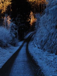 Preview wallpaper path, turn, winter, forest, trees