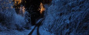 Preview wallpaper path, turn, winter, forest, trees