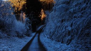 Preview wallpaper path, turn, winter, forest, trees