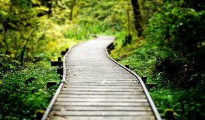 Preview wallpaper path, wood, grass, vegetation, strips