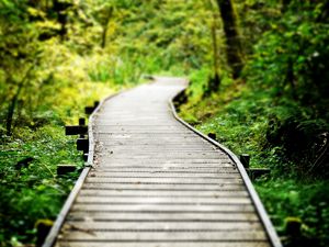 Preview wallpaper path, wood, grass, vegetation, strips