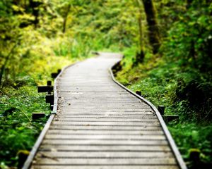 Preview wallpaper path, wood, grass, vegetation, strips