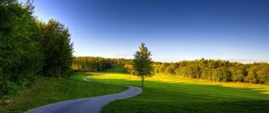 Preview wallpaper path, wood, tree, grass, shadow, greens, summer, reserve, open spaces, landscape