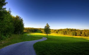Preview wallpaper path, wood, tree, grass, shadow, greens, summer, reserve, open spaces, landscape