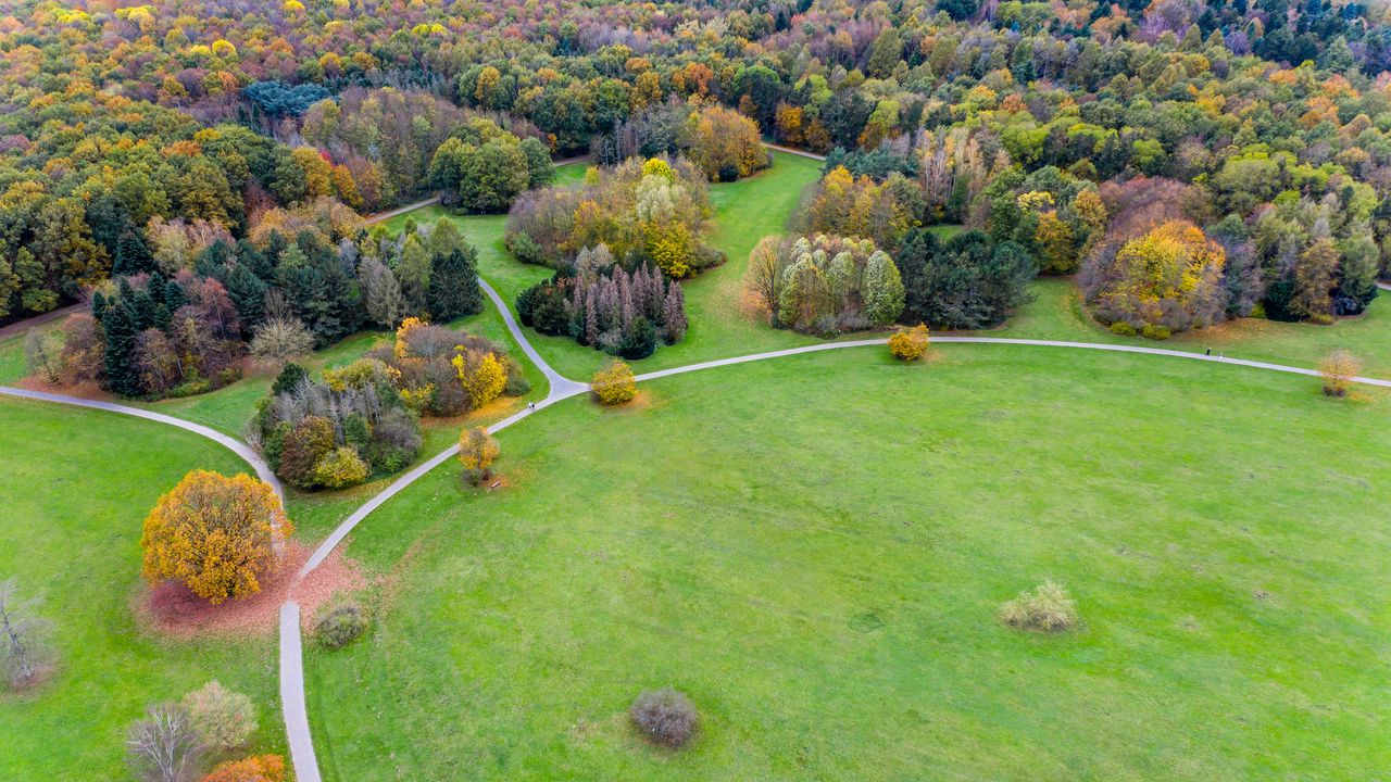 Wallpaper paths, field, aerial view, trees