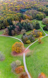 Preview wallpaper paths, field, aerial view, trees
