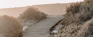 Preview wallpaper pathway, stream, bushes, stones, hill