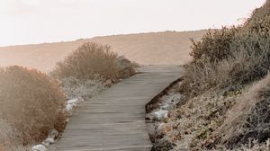 Preview wallpaper pathway, stream, bushes, stones, hill