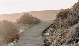 Preview wallpaper pathway, stream, bushes, stones, hill