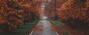 Preview wallpaper pathway, trees, fog, autumn, nature