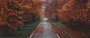 Preview wallpaper pathway, trees, fog, autumn, nature