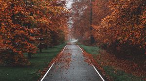 Preview wallpaper pathway, trees, fog, autumn, nature