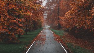 Preview wallpaper pathway, trees, fog, autumn, nature