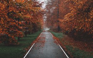 Preview wallpaper pathway, trees, fog, autumn, nature