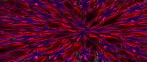 Preview wallpaper pattern, abstraction, purple, red