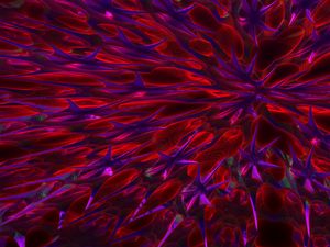 Preview wallpaper pattern, abstraction, purple, red
