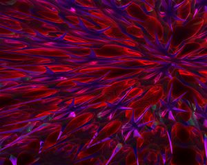 Preview wallpaper pattern, abstraction, purple, red
