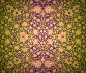 Preview wallpaper pattern, fractal, kaleidoscope, bright, colorful