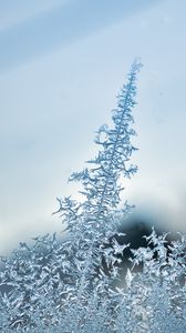 Preview wallpaper pattern, frost, glass, surface, macro