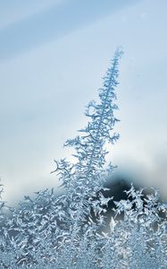 Preview wallpaper pattern, frost, glass, surface, macro