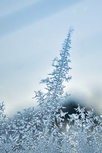 Preview wallpaper pattern, frost, glass, surface, macro