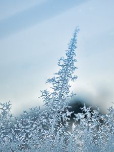 Preview wallpaper pattern, frost, glass, surface, macro