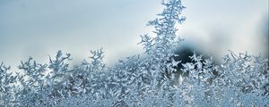 Preview wallpaper pattern, frost, glass, surface, macro